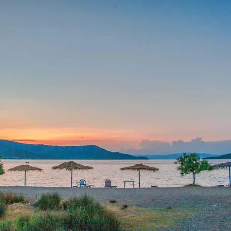 Goddesses 1 In Nies *