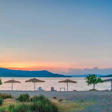 Goddesses 1 In Nies *