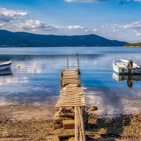 Goddesses 1 In Nies 公寓 *