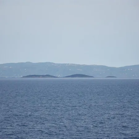 Goddesses 1 In Nies Lägenhet Sourpi