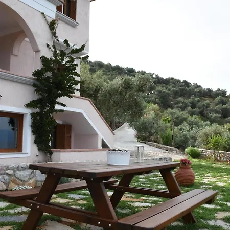 Goddesses 1 In Nies *