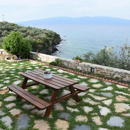 Goddesses 1 In Nies *