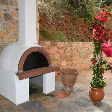 Goddesses 1 In Nies 公寓