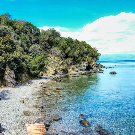 Goddesses 1 In Nies Sourpi